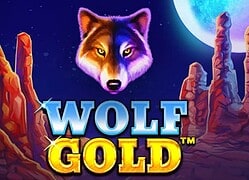 Wolf G Cazeus Casino Game