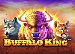 Buffalo King Cazeus Casino Slot